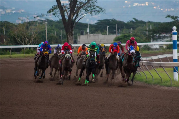 加勒比“疯狂”的可不止是海盗!那里的赛马超出我们想象! 大陆赛马网 (4).jpg
