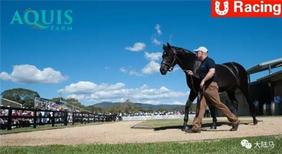 Aquis雅士牧场,五连胜,赛马,日光,350万澳币,金拖鞋 大陆马 大陆赛马网 (7).jpg