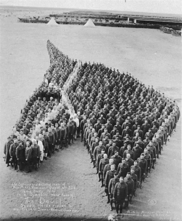 新冠疫情堪比第三次世界大战,你知道800万匹马死于一战么? 青马网大陆马 (12).jpg