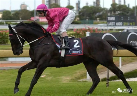 Aquis雅士牧场,五连胜,赛马,日光,350万澳币,金拖鞋 大陆马 大陆赛马网 (6).jpg