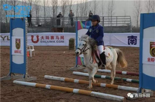 江苏省委省政府出台《“健康江苏2030”规划纲要》 马术获支持3.jpg