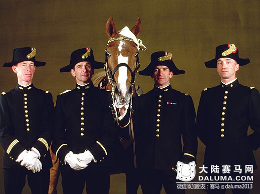 马业已成全球新风尚 各国马业现状你知道吗?6.jpg