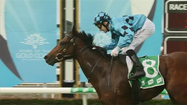 赛季100胜!2岁赛马“伊戈尔”为Aquis Farm雅士牧场带来澳洲本赛季第100个头马! 大陆赛马网 (1).jpg