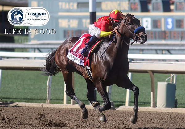 CHC杰士马主俱乐部“美好人生”荣登世界三岁泥地赛马排名 大陆马.jpg