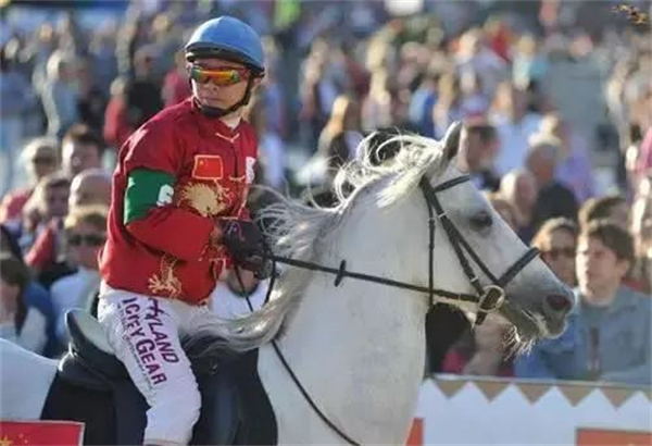 全新出炉!2022玉龙国际赛马公开赛5月【练马师、骑师排名】 大陆马 (1).jpg
