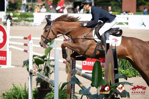 CKUR“精分”教练胡铭磊——受到学员、家长一致好评! 大陆马 (6).jpg