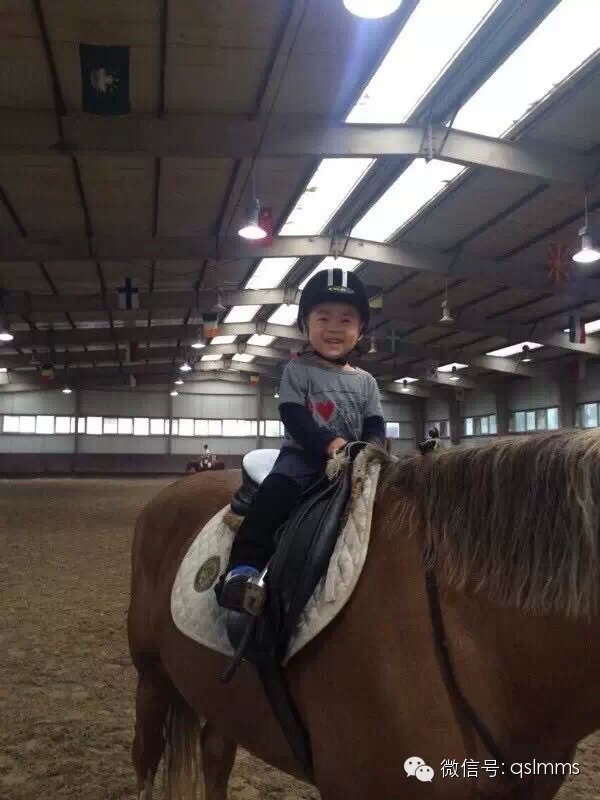 中联骑士联盟《我与马儿亲密接触》摄影大赛第五期投票 大陆赛马网5.jpeg