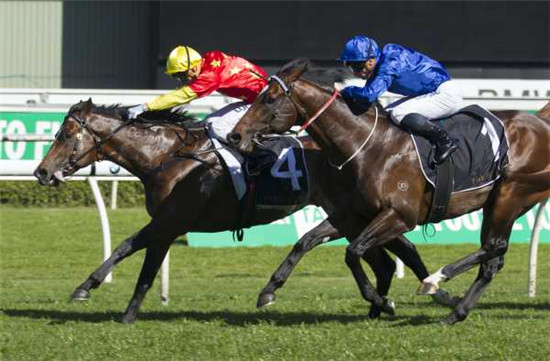 击败金拖鞋和金玫瑰冠军:CHC“俄国先锋”迎来四连胜露出马王相 大陆赛马网 (2).jpg