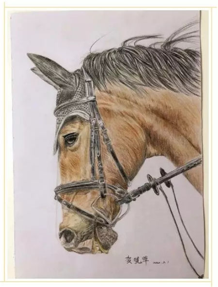 CKUR中联骑士联盟马术教练张雷鸣分享:疫情下留守马场至今的教练们,说好的交接班呢? 青马网大陆马 (6).jpg