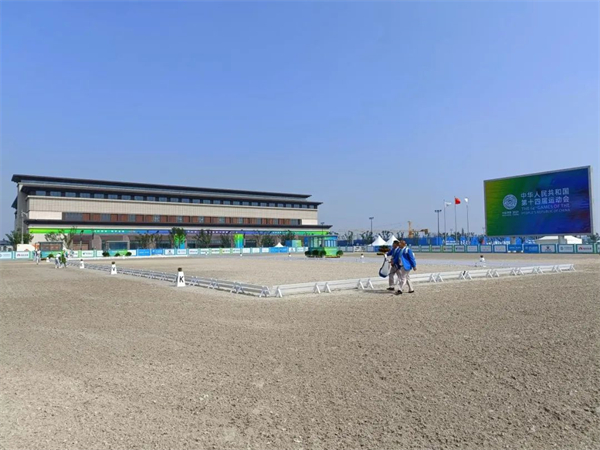 北京威斯恩国际马术设备有限公司:中国马术设备领军企业! 大陆马 (4).jpg