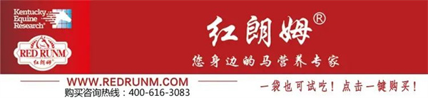 首届“红朗姆杯”速度赛马比赛开赛在即!报名通道正式开启 大陆马 (2).jpg