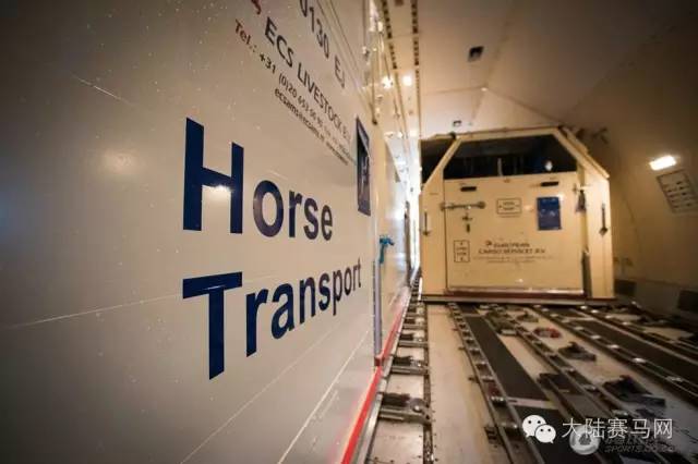 奥运参赛马匹坐商务舱抵达巴西:华天和“堂·热内卢”里约最新动态 11.jpg