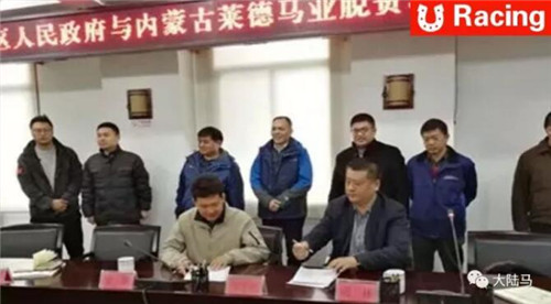 莱德马业“蒙古征服者”再夺冠:剑指2018新西兰打吡大赛8.jpg