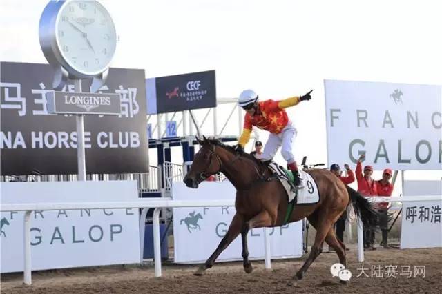 国际赛马盛事回归草原:2016鄂尔多斯驭马文化节宣传片来袭4.jpg