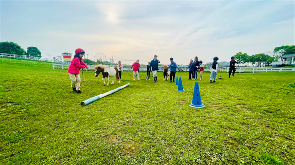 青马·校园马术社团 大陆马陪伴小小骑士一路成长! 大陆马 (6).png