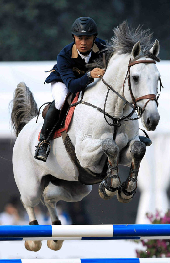 2014中国马术巡回赛北京站国内专业骑手介绍李振强 大陆赛马网.jpg