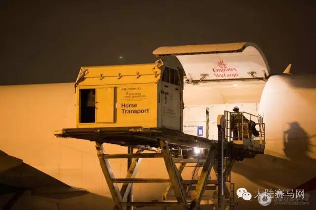 奥运参赛马匹坐商务舱抵达巴西:华天和“堂·热内卢”里约最新动态 10.jpg