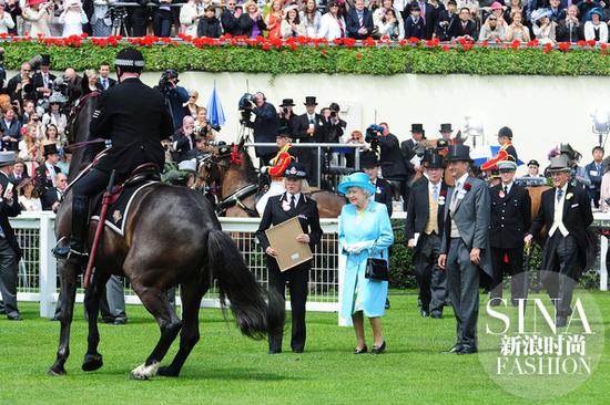 赛马场上的女王大人 大陆赛马网