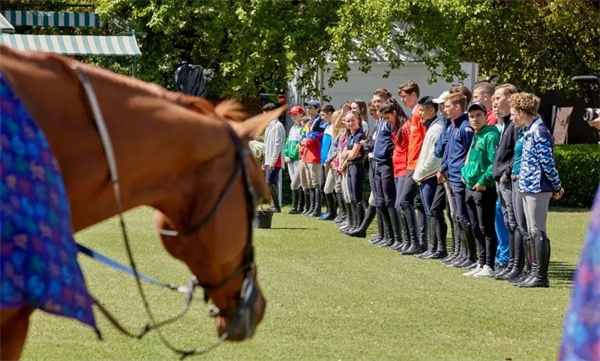 青奥会替代赛:国际马联青年马术运动会6月在亚琛上演 大陆马.jpg