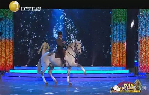 《马上聚焦》司马明:时隔30年重上马背 将古典马术搬上春晚舞台.jpg