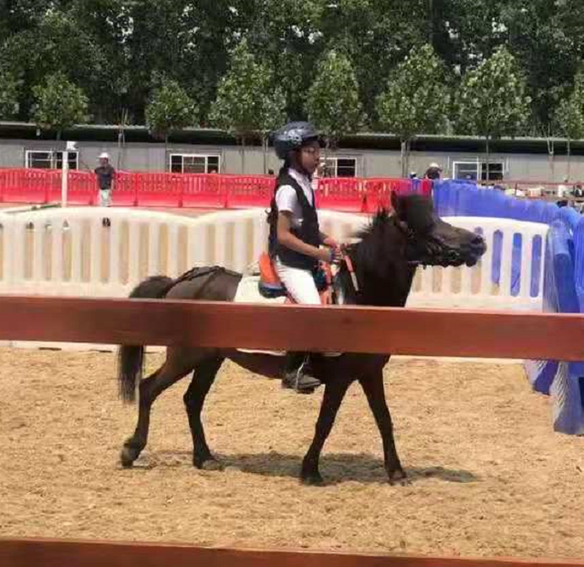 有马陪伴的童年就是这么与众不同!竟有这么多爱骑马的明星孩子!大陆赛马网 赛马 (1).png