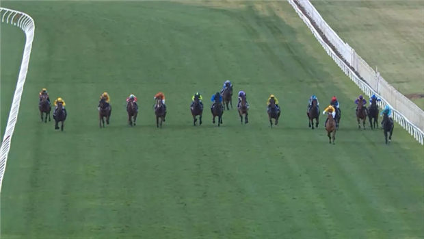 和顺丰马业“非凡荣光”新西兰斩获首冠:3.2万澳币购自殷利殊 大陆赛马网 (1).jpg