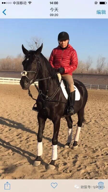 中联骑士联盟《我与马儿亲密接触》摄影大赛第三期投票 大陆赛马网.jpeg