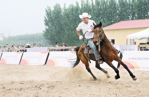 秦岭脚下牧马人 大陆赛马网6.jpg