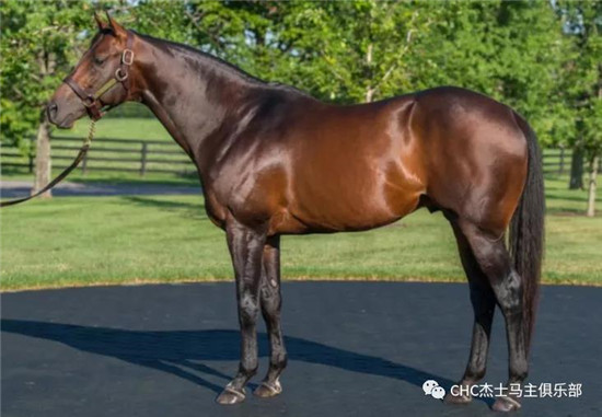 “超值优惠”(Super Saver)-大陆赛马网.jpg