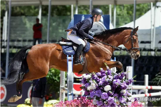 2018世界马术运动会官方LOGO揭晓 创意宣传片出炉05.jpg