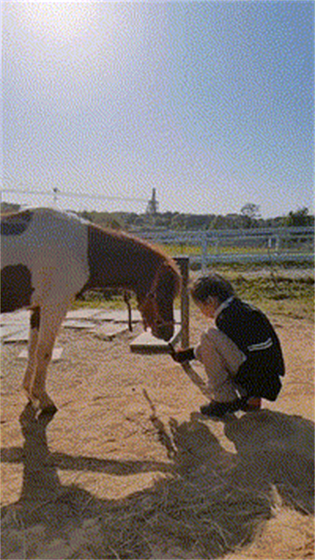 青马商城自主品牌Honey Snack.jpg