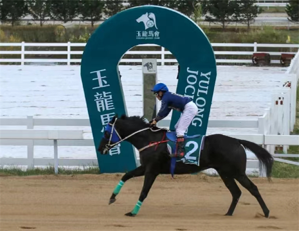 看“区块链”如何玩转赛马场!名字来自于习主席的重要表态! 大陆马 (4).png