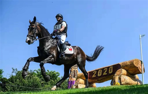 青马课堂:马术运动是如何成为奥运会比赛项目? 大陆马.jpg