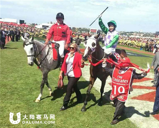 七匹一级赛冠军马将角逐新西兰纯血马春季冠军赛.jpg