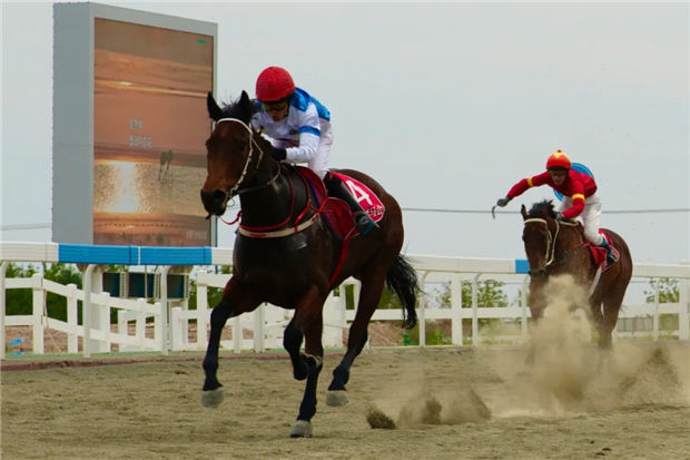 100多场比赛、564万奖金!新疆马会:热烈欢迎内地马主来新疆赛马 大陆赛马网 (5).jpg