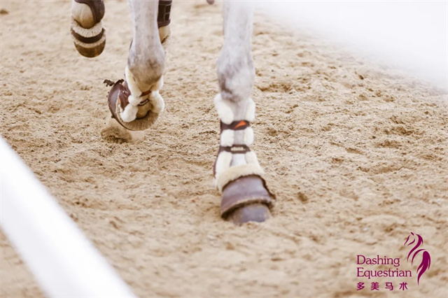 马术人的五一假期“最佳目的地”来啦!奖金50万,顺便“攒分”进鸟巢! 大陆赛马网 赛马 赛马网 (10).jpg