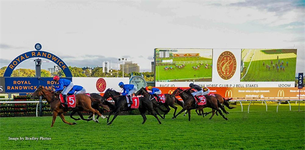 CHC杰士马主俱乐部20万澳元赞助澳洲三级赛:高多芬包揽前四 大陆马 (2).jpg