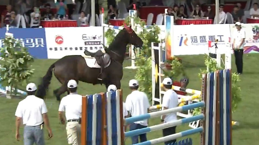 选手坠马 西坞国际马术大奖赛 大陆赛马网