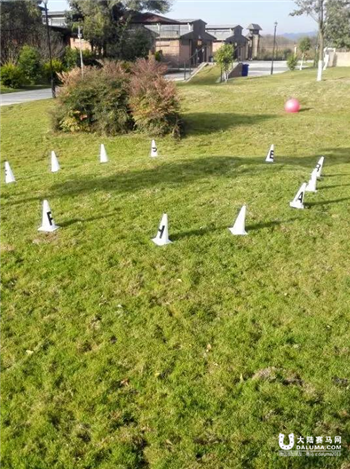 嘉丽泽马术11月29日 小马趣味赛2.png