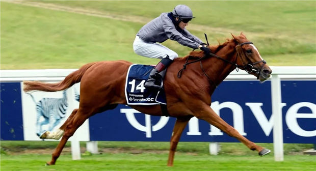 2020英国叶森打吡:“蛇纹石”一放到底5个半马位夺冠,前三皆是冷门马 大陆赛马网 (4).jpg