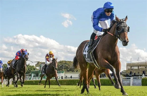 高多芬集团三岁雌马“花都教主”斩获2020年澳洲橡树大赛冠军 大陆赛马网.jpg