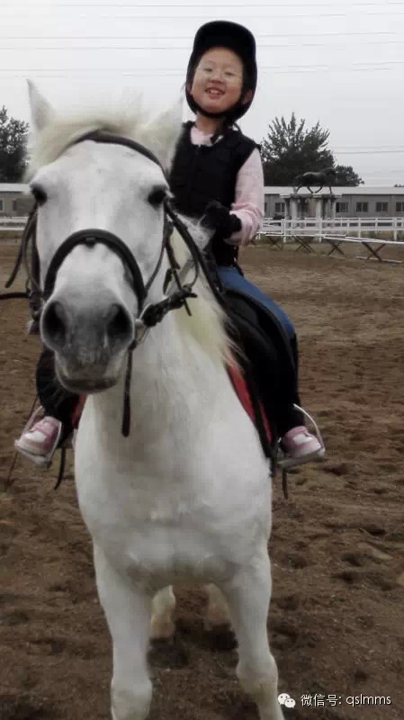 中联骑士联盟《我与马儿亲密接触》摄影大赛第五期投票 大陆赛马网3.jpeg