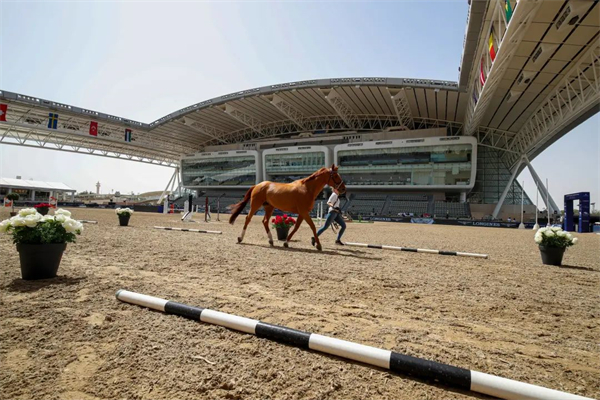 2022环球马术冠军赛和环球团体冠军赛揭幕战多哈站验马工作完成 大陆马.jpg