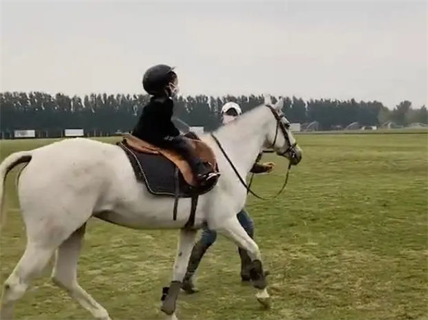 章子怡带着4岁女儿去上马术课啦!为啥明星们都送孩子去骑马? 青马网大陆马 (1).jpg