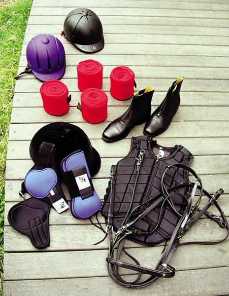 绅士之道 玩转你的马具装备