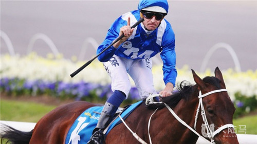 缔造史上最快速度!Bowman策骑Winx勇夺澳洲最高奖金平磅赛 大陆赛马网2.jpg