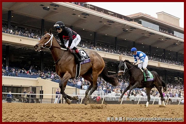 “铤而走险”首季子嗣4战4胜获得美国赛马日蚀奖冠军两岁雌马 大陆马.jpg