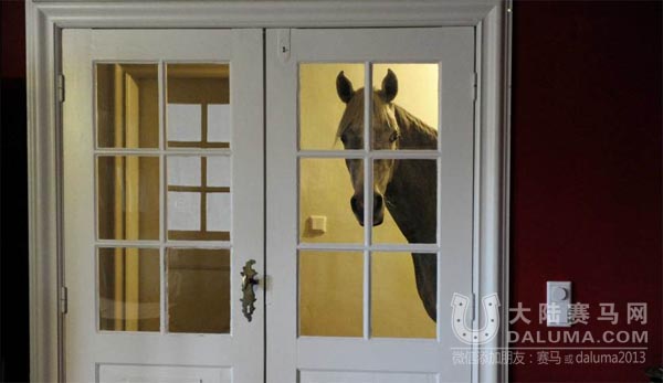 《时代周刊》评出2014年最佳马影像,总有一张震撼你的心灵 大陆赛马网.jpg