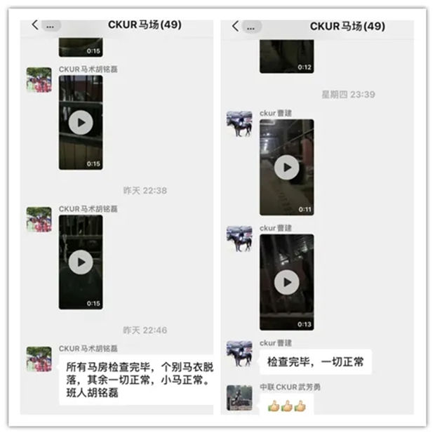 CKUR中联骑士联盟马术教练张雷鸣分享:疫情下留守马场至今的教练们,说好的交接班呢? 青马网大陆马 (4).jpg