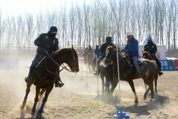 北京马协西部牛仔大奖赛1月23日寒风中开赛2.jpg